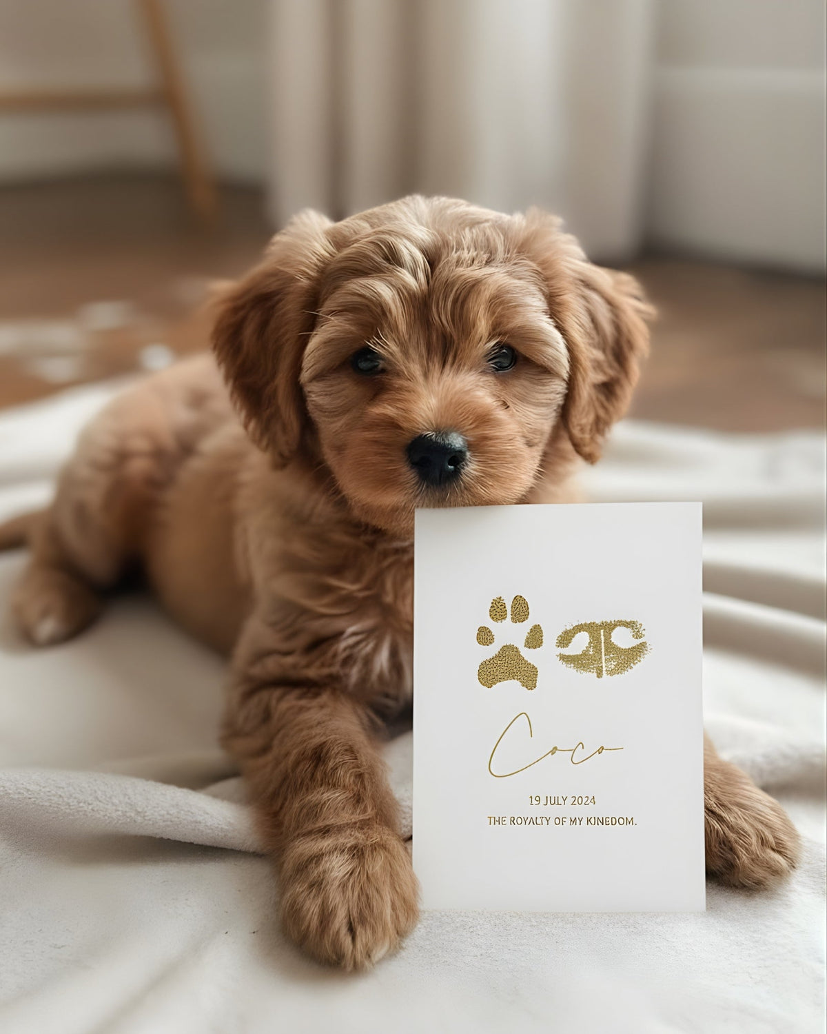 PET KEEPSAKES